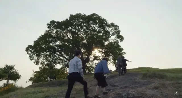창원 북부리 팽나무